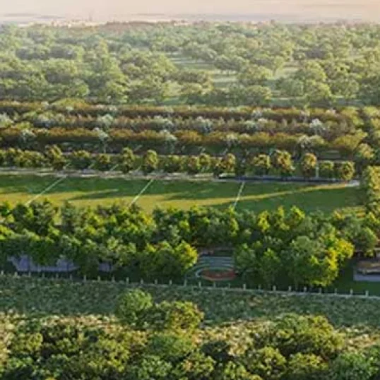 Godrej Vadodara Plots